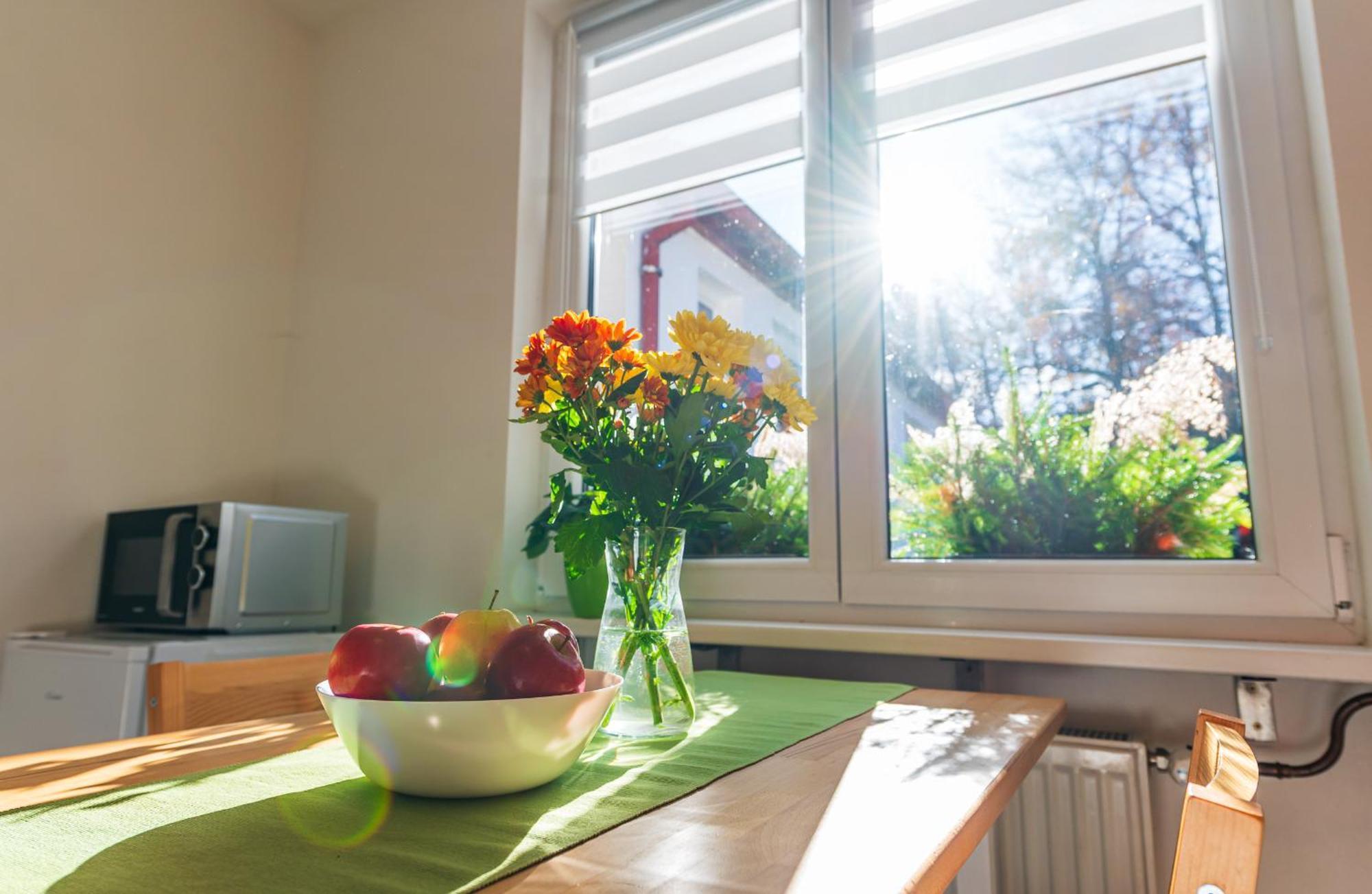 Ubytování na samotě - Apartmán U Tesařů Komarice Exterior foto